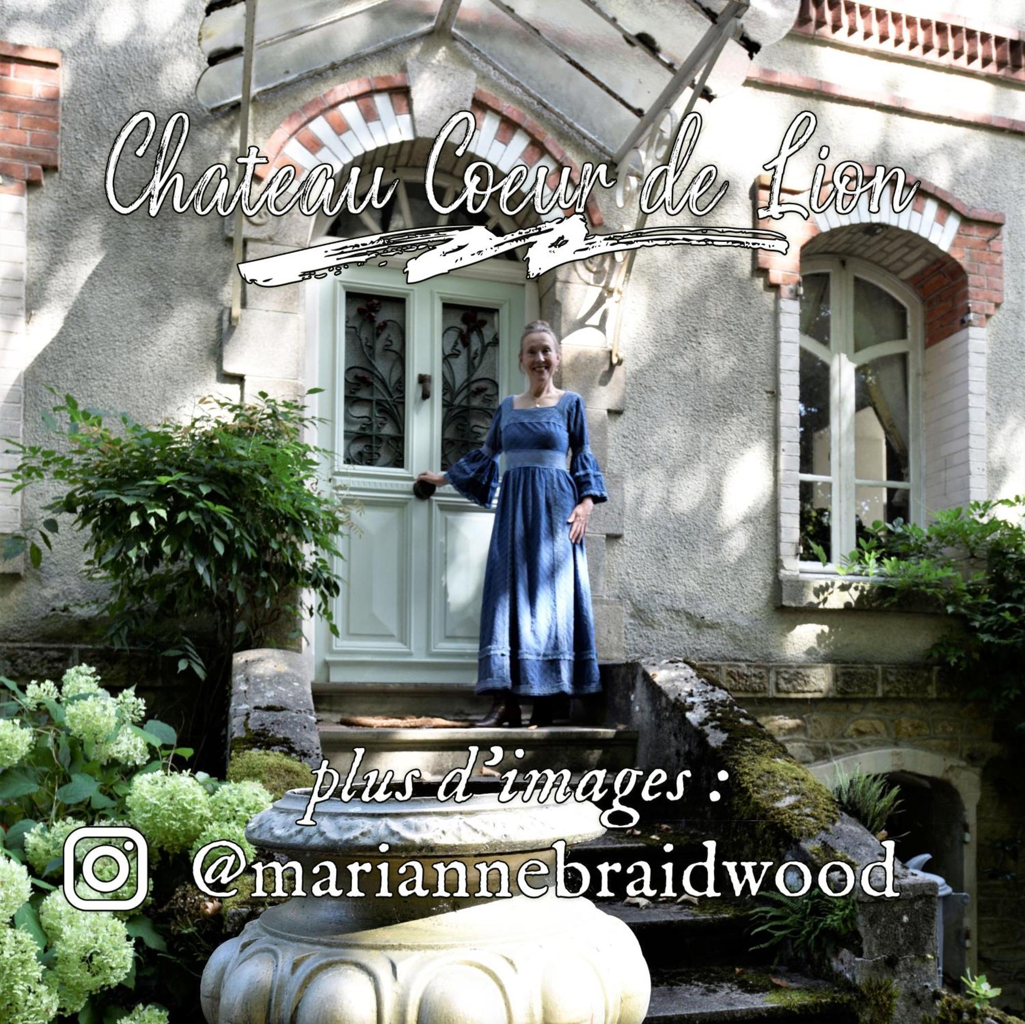 Chateau Coeur De Lion Châteauponsac Exterior foto